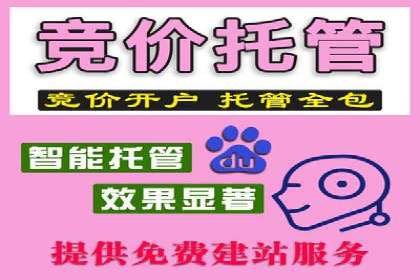 百度竞价排名实战：关键词优化与落地页优化案例